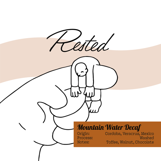 Mountain Water Decaf | Veracruz, Mexico