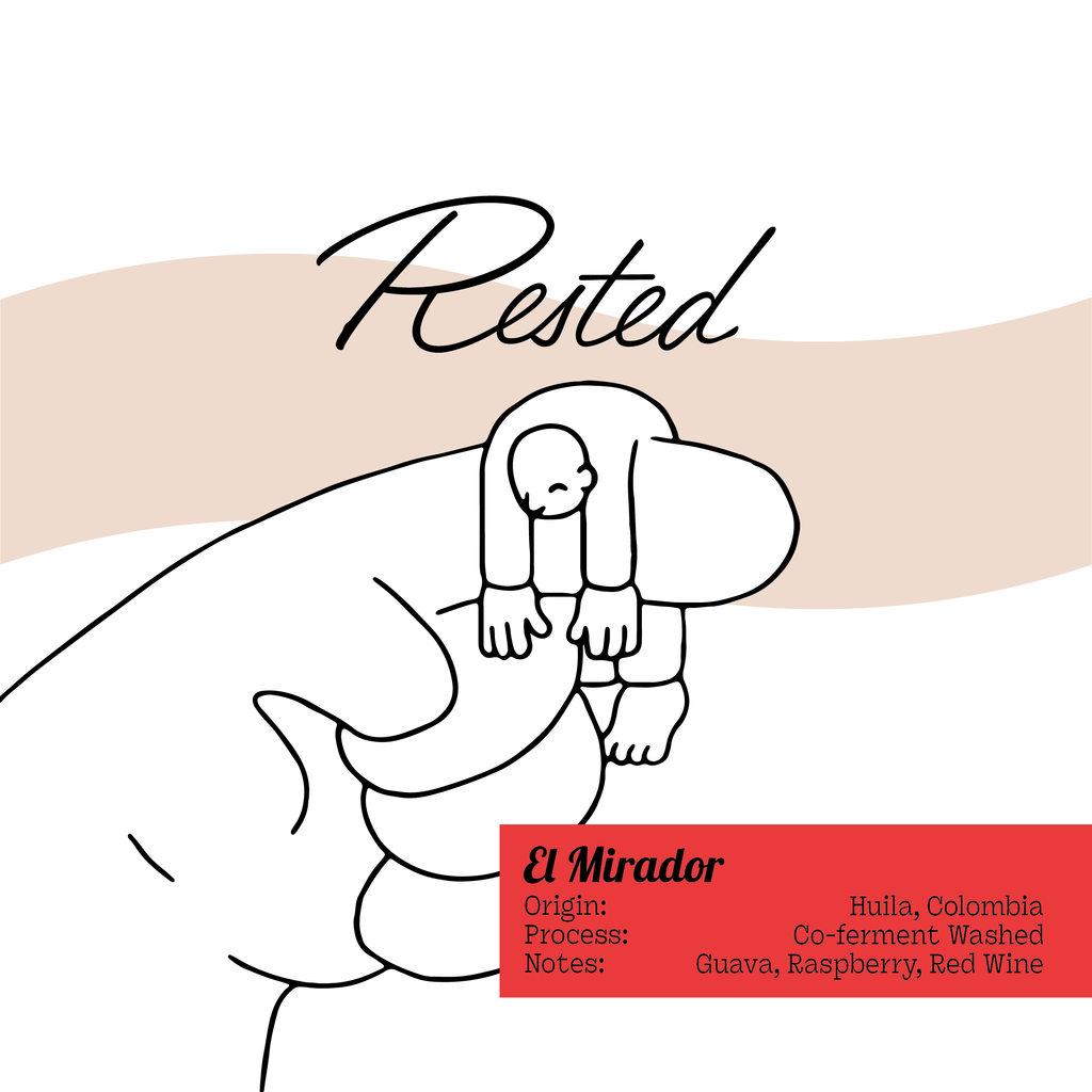 El Mirador | Colombia - Pink Champagne Co-ferment (Limited Release)