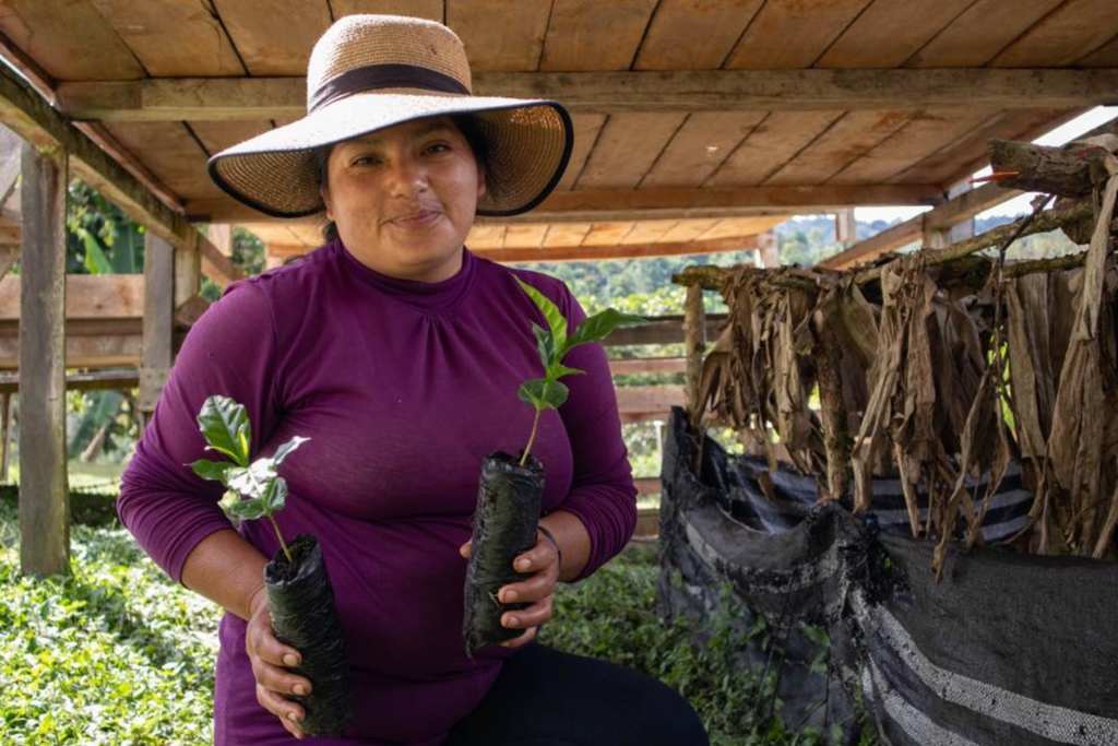 Elevacion Apromayo | Peru