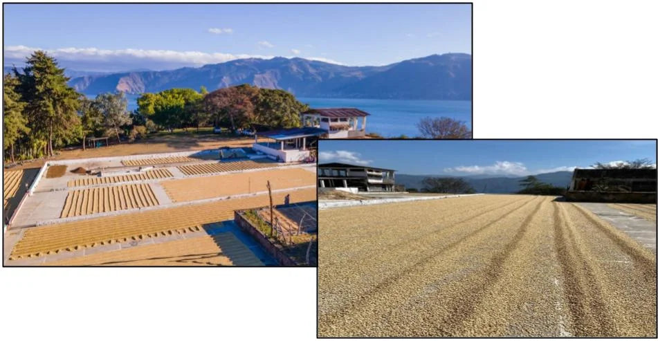 Cafe Justicia Co-op | Lake Atitlan, Guatemala