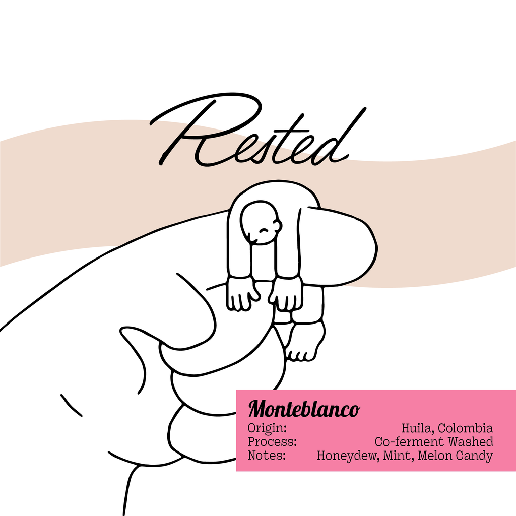 Monteblanco | Colombia - Citrillus Nectar Co-ferment (Limited Release)