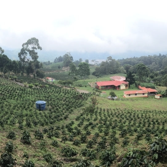 Popayan Plateau | Colombia