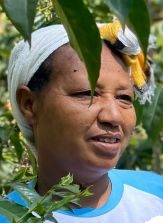 Meselech Tubie G1 | Ethiopia